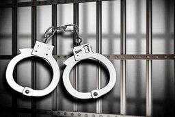 متهم به قتل ملیکا: با دختر جوان درگیر شدم اما قاتل نیستم