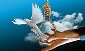 گذشت از قصاص استاد دانشگاه به شرط اجرای ۲ خواسته نیکوکارانه