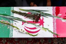 شهادت دانشجوی دکتری رشته شیمی فیزیک در حملات اخیر