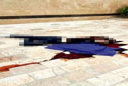 سقوط مرگبار نوجوان 17 ساله هنگام فرار از لانه شیطانی