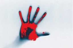 قتل هولناک زن و شوهر به دست فرزندخوانده