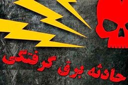 مرگ سارق حین سرقت کابل برق