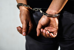 قتل مادرزن سابقم کار من نیست