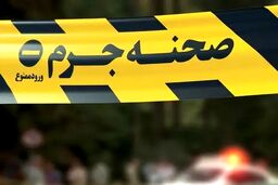 چه کسی زن میانسال را در خانه‌اش کشت؟