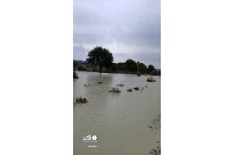 فیلمی از سیل سهمگین در استان سیستان و بلوچستان