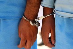 نظافتچی زن صاحبخانه را با انگیزه سرقت کشت