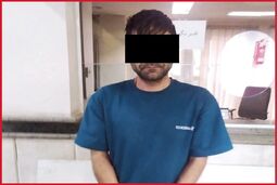 دستگیری عامل دستبرد به خودروهای مسافران نوروزی