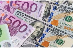 زن خدمتکار، دزد 50 میلیاردی دلار و یورو بود