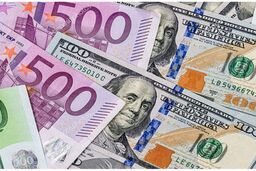 زن خدمتکار، دزد 50 میلیاردی دلار و یورو بود