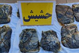 کشف ۱۲۶بسته حشیش در معده یک زن