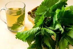 گزنه برای چی خوب است