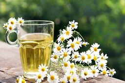 بابونه برای چی خوب است؟