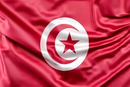 رسوایی اخلاقی نماینده مجلس تونس