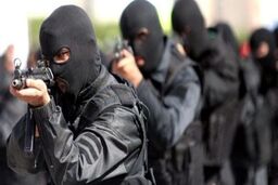 در ۲ ساعت درگیری مسلحانه پلیس شیراز با مرد همسرکش و برادرش چه گذشت؟