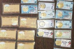 دستگیری اعضای باند زنان کلاهبردار در مشهد، عروس و خواهرشوهر سکه تقلبی می‌فروختند