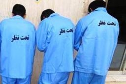 ماجرای عجیب گرفتار شدن سارقان حرفه‌ای در تله ماموران قلابی