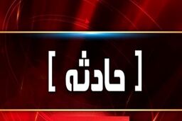 ماجرای عجیب سارقی با گرفتن مژدگانی خودروها را پس می‌داد