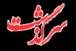 زندگی دردناک بوکسور حرفه‌ای که به بیماری روانی مبتلا شد/ پسرم روزی 400 قرص می‌خورد