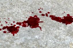 جنایت هولناک پسری که خواستگار مادرش را کشت