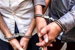 مردی با دامادش برای کارهای پلید همدست شد