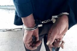 مردی هنگام ربودن دختری خردسال در جنوب تهران دستگیر شد