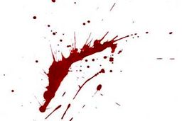 زن جنایتکار 3 فرزندش را کشت و با اجساد آنها زندگی می‌کرد