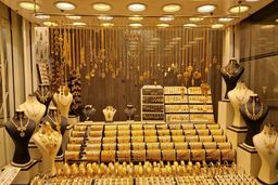 دستگیری سارق جواهر فروشی‌های ونک