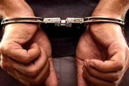 ناپدری، مادرم را کتک می‌زد؛ کشتمش