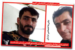 قاتل مسلح به صحنه جرم بازگشت؛ شلیک برای قتل دومین برادرزن