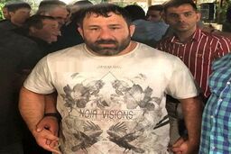 ضاربان هانی کرده دستگیر شدند