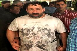 ضاربان هانی کرده دستگیر شدند