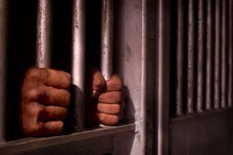 قتل 4 نفر با شلیک گلوله در کرمانشاه؛ قاتل دستگیر شد
