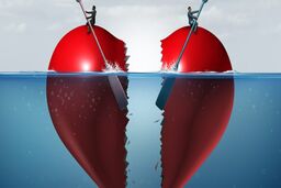 اختلاف بر سر جهیزیه؛ دلیل درخواست نوعروس برای جدایی