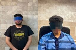 اعتراف متهمان قتل دانشجوی دانشگاه تهران به 40 فقره سرقت