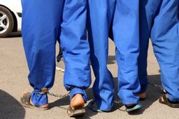 سارقان حرفه‌ای منزل، دوربین مداربسته خانه‌ها را هک می‌کردند