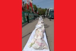 پلیس تهران محموله ۷۰ میلیارد تومانی شیشه را کشف کرد