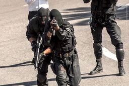 گروگان‌گیری مرگبار در کاشمر/ پدر خانواده کشته شد، همسر و فرزندش آزاد شدند
