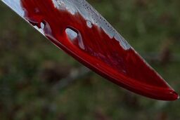 فرار پسر 18 ساله بعد از قتل خانوادگی