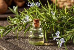 روغن رزماری برای چی خوب است