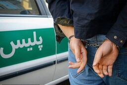3 پسر نوجوان زن میانسال را به باغ کشاندند و کشتند