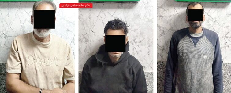 شگرد سارقان برای دستبرد به خانه‌ها چه بود؟