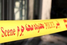 خودکشی مرد 42 ساله بعد از قتل همسر و فرزند در ولنجک تهران