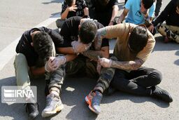 عاملان تخریب خودرو در فشم دستگیر شدند