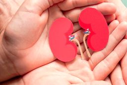 اهدای اعضای بدن پسری 14 ساله که در شب تولدش تصادف کرد