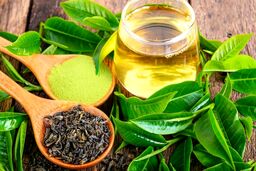 چای سبز برای چی خوب است