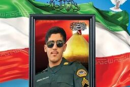 شهات مامور پلیس هنگام اجرای ماموریت برخورد با زمین خواران در شیراز