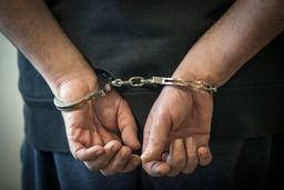 داماد عصبانی 3 عضو خانواده همسرش را کشت