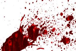 ادعای متهم به قتل: دختر مورد علاقه‌ام با دوستش دعوا کرد، من مرد عابر را کشتم