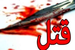 همسر قاتل بعد از 13 سال در شیراز دستگیر شد