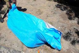 ادعایی عجیب برای تکه تکه کردن پدر و پسر